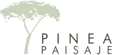 PineaPaisaje
