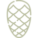 pine-cone2